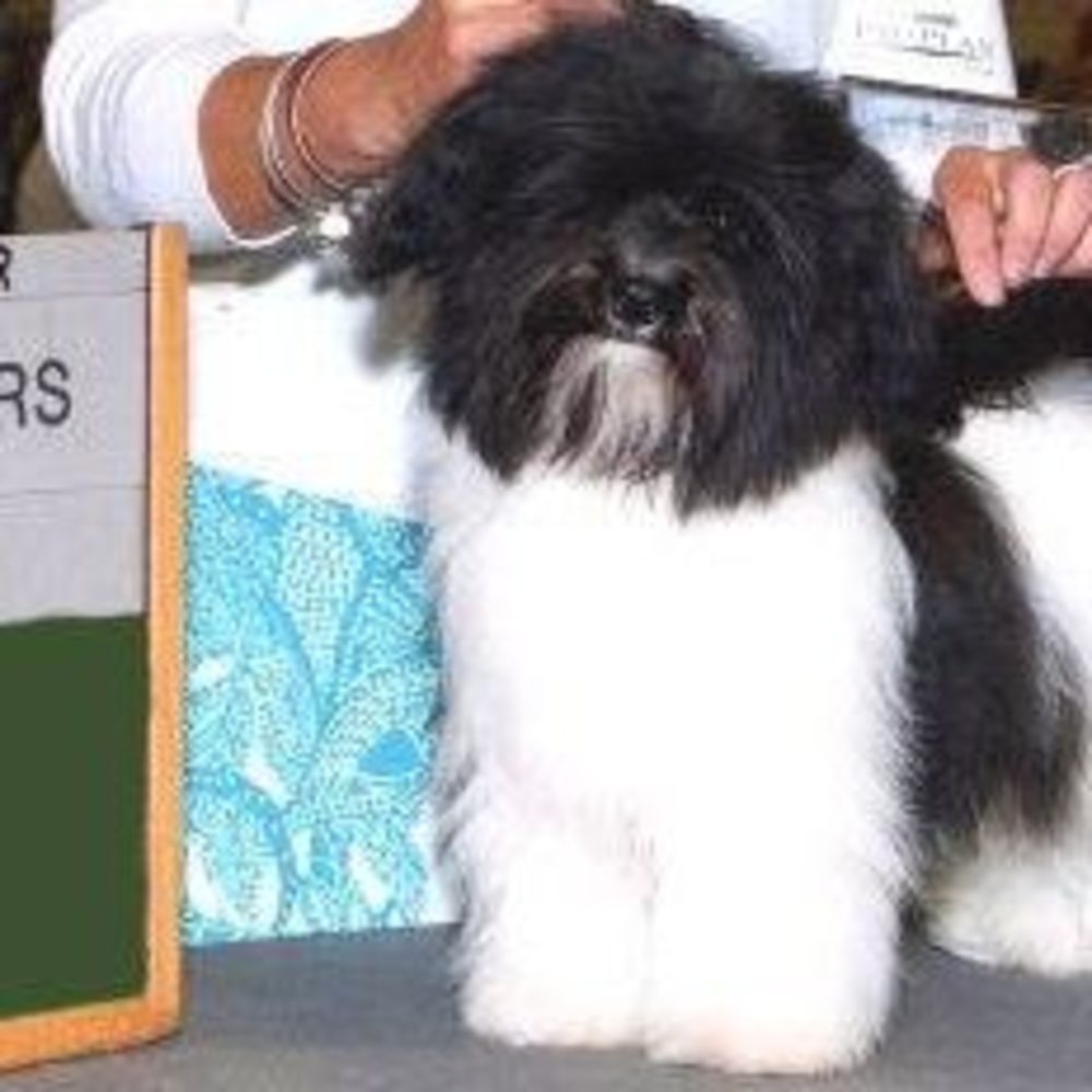 Meet your Posher, Christie